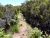 20180708_141407.jpg