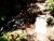 20180708_142038.jpg