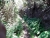 20180708_142324.jpg