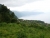 k-P1160416.JPG
