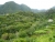k-P1160428.JPG