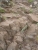 k-P1160217.JPG
