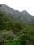 k-P1150995.JPG