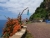 DSC09137.JPG
