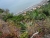 DSC09205 Kopie.JPG