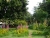 k-P1150814.JPG