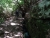 DSC09894.JPG