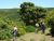 DSC09963.JPG