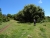 DSC09973.JPG