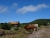 DSC09999.JPG