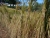 DSC00069.JPG