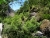 DSC00388.JPG