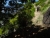 DSC00459.JPG