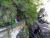 DSC00557.JPG