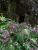 DSC00727.JPG