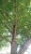 20180909_164953.jpg