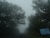 DSC01012.JPG