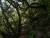 DSC01096.JPG