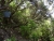 DSC01143.JPG