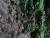 DSC01186 Kopie.JPG