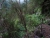 DSC01286.JPG
