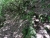DSC02186.JPG