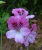 DSC01202.JPG