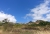 DSC03666.JPG