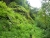 k-P1190071.JPG