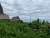 k-IMG-20190725-WA0050.jpg