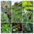 DSC_0615-COLLAGE.jpg