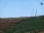 CIMG4825.JPG