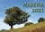 KalenderTitel Madeira 2021 Flora_Fauna.jpg