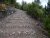 P1100073.JPG