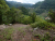 P1100091.JPG
