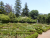 Rosengarten.JPG