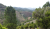 P1090007.JPG