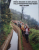 Levada F.jpg