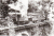 Caminho_de_Ferro_do_Monte_-_1.jpg