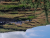 k-20260723_121925.jpg