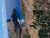k-20260719_124810.jpg
