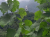 k-20260722_131730.jpg